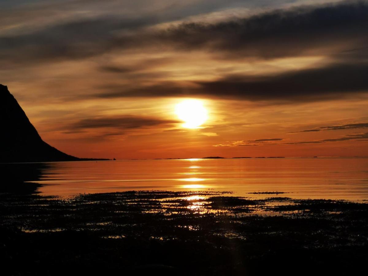 Midnight Sun And Nature Appartement *
