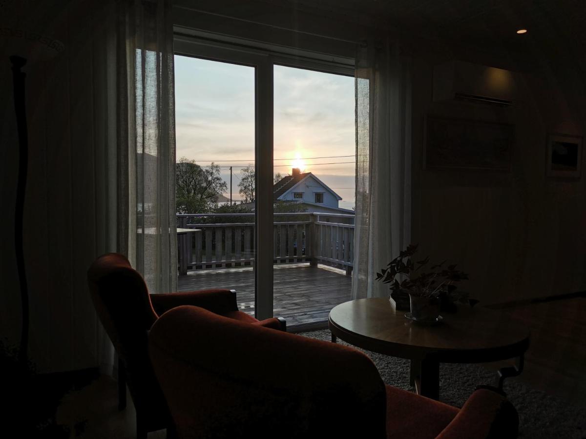 Midnight Sun And Nature